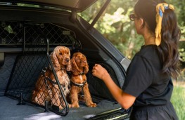 Bentley Bentayga, 2025, Pet Accessory Range, dogs in car